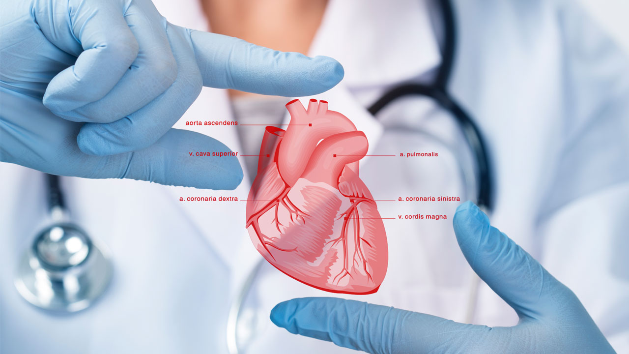 Bengaluru Creates Medical History: Three Heart Transplants in 12 Hours Save Young Lives